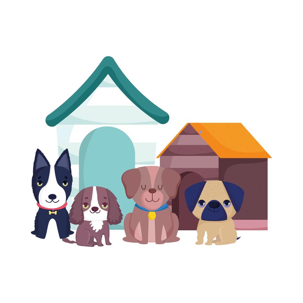 pet shop, cute little dogs sitting different breed and houses animal domestic cartoon vector