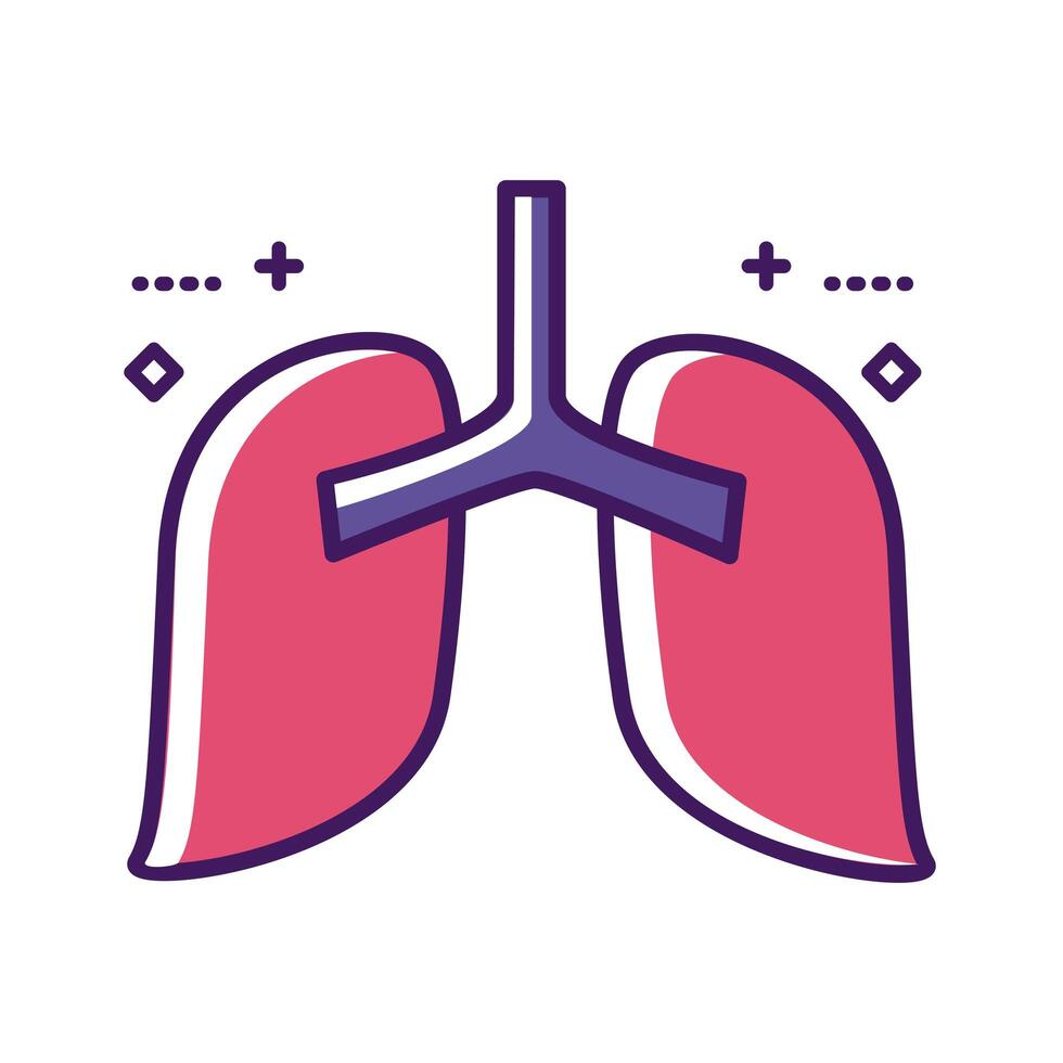 lungs human organ line and fill style vector