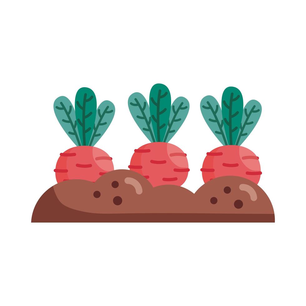 radishes on earth detail style icon vector design