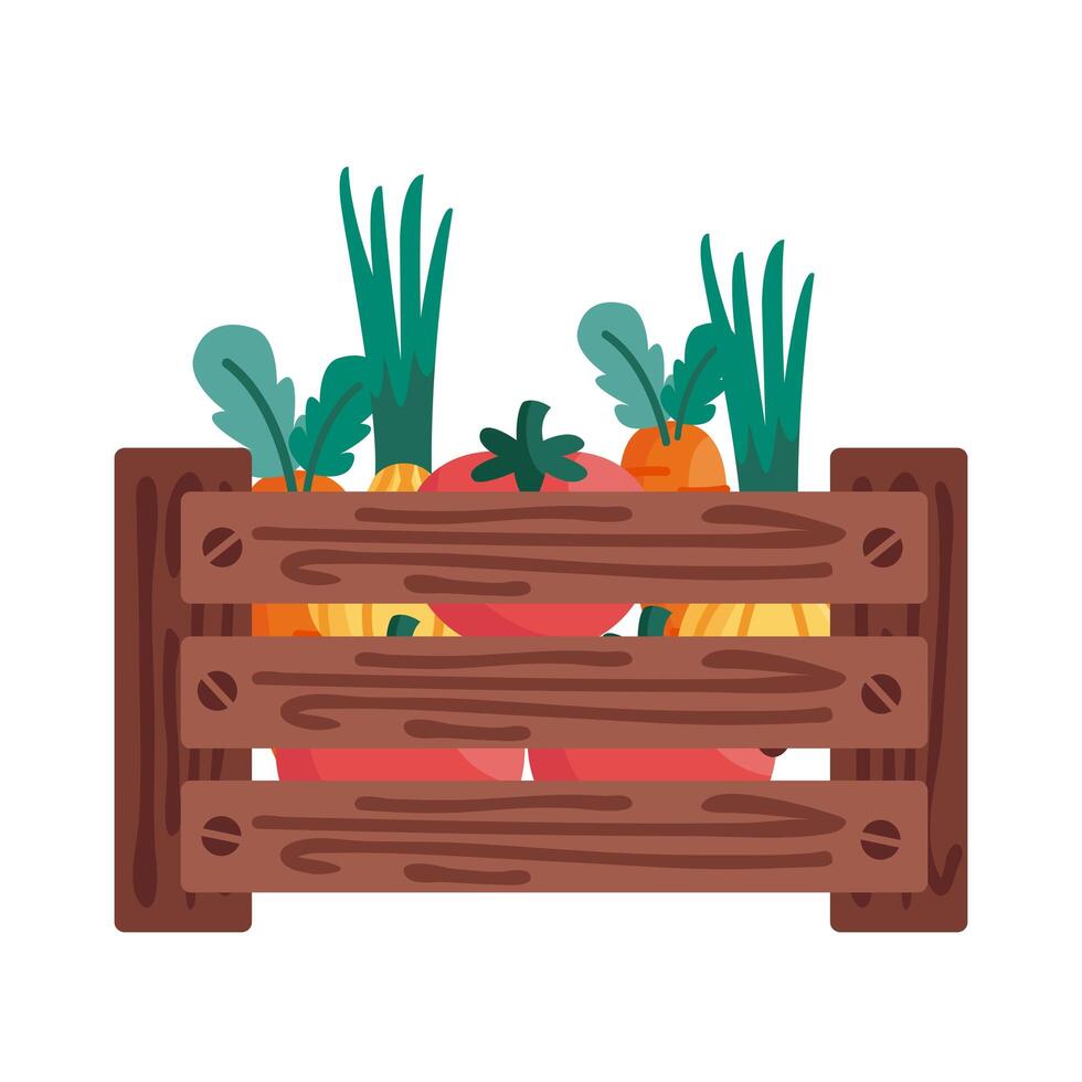 tomatoes carrots and onions inside box detail style icon vector design