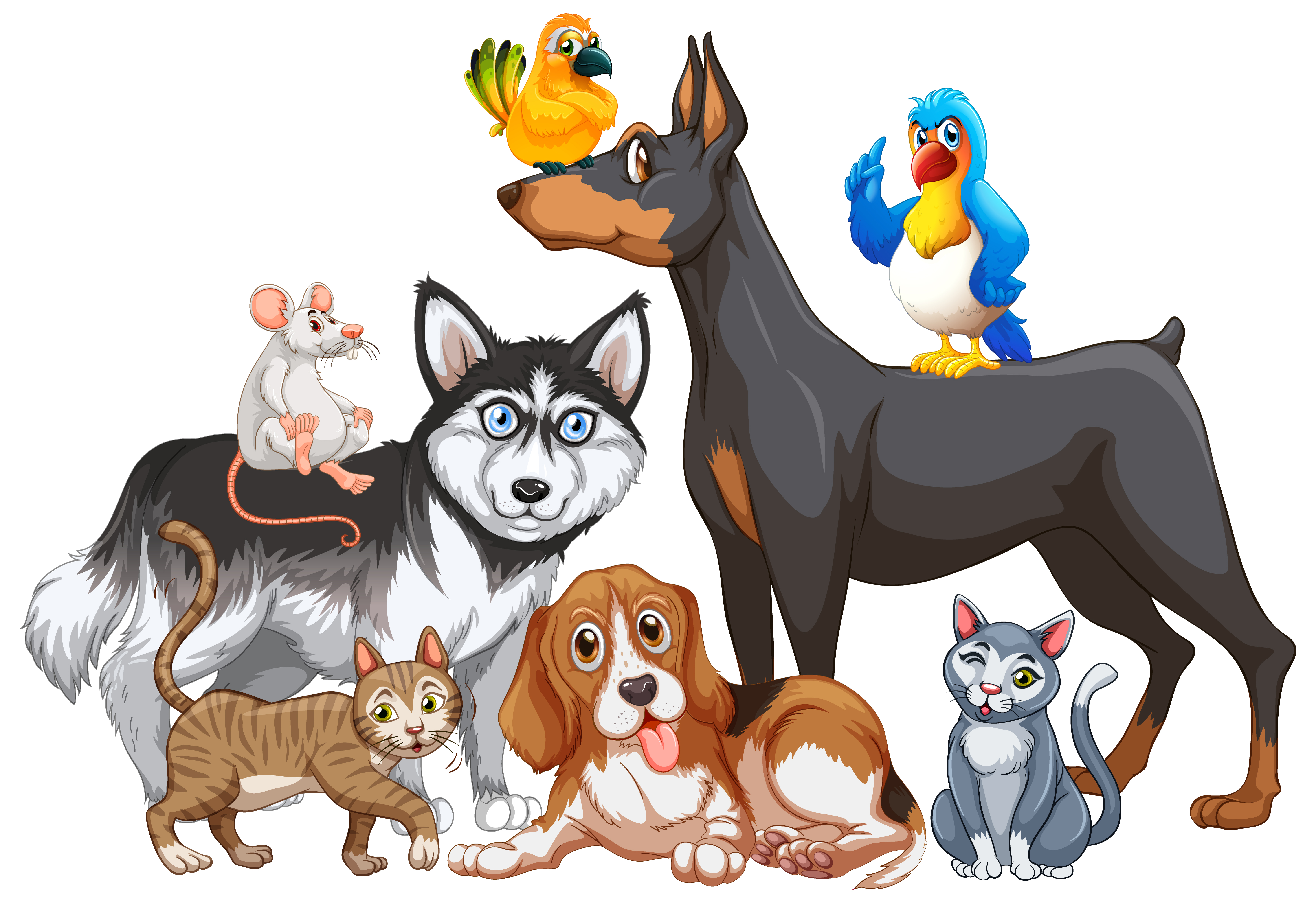Group of pets on white background 1848695 Vector Art at Vecteezy