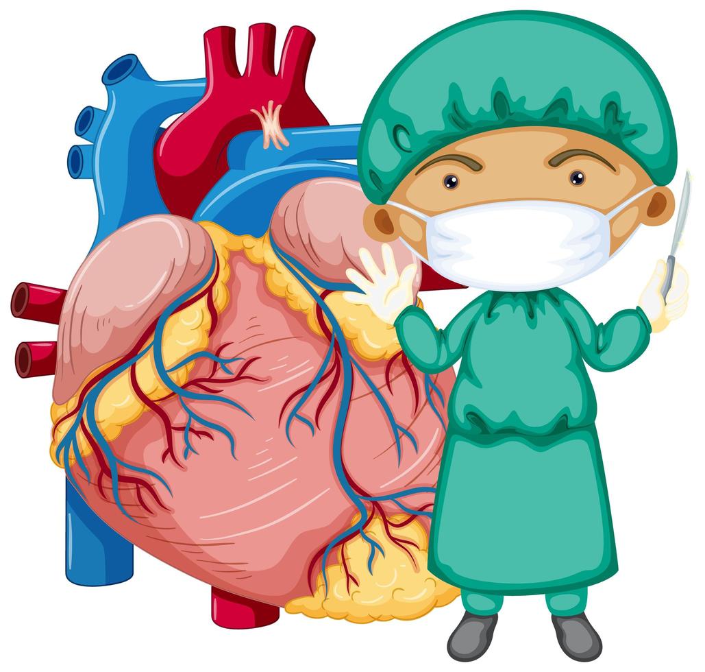 Human heart with a doctor wearing mask cartoon character vector