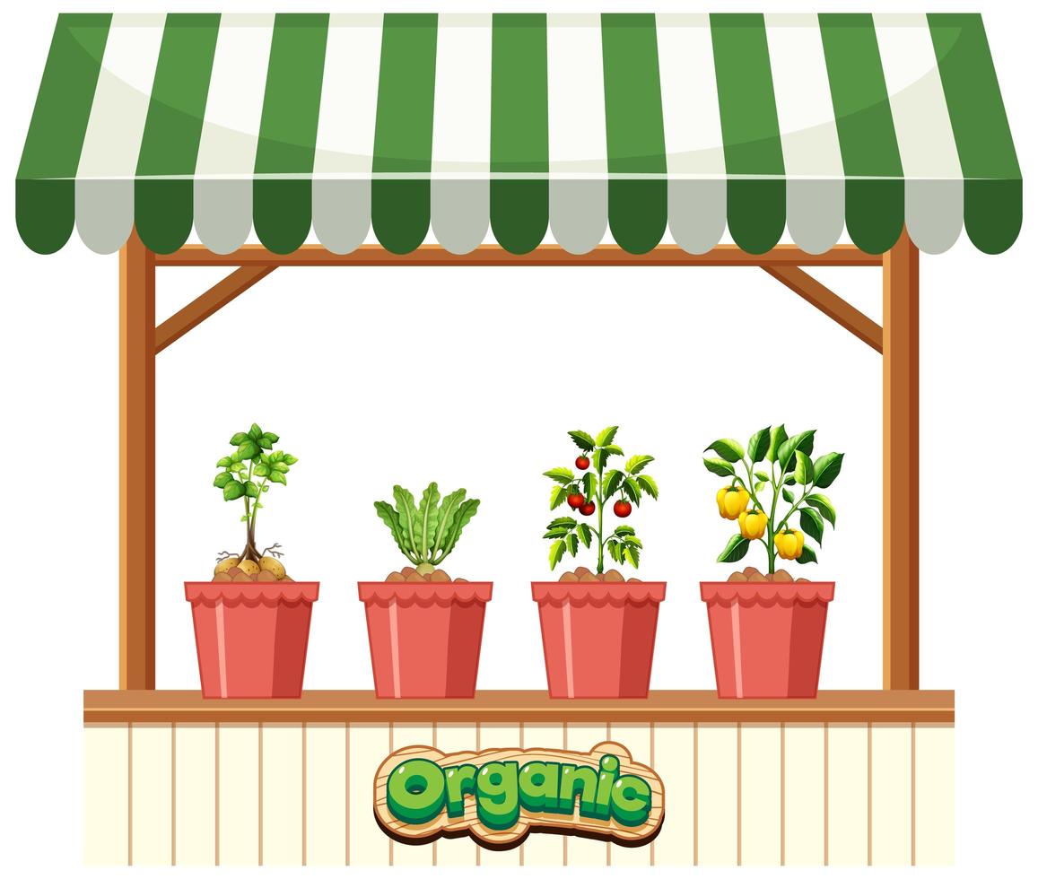 Tienda de plantas con toldo a rayas sobre fondo blanco. vector