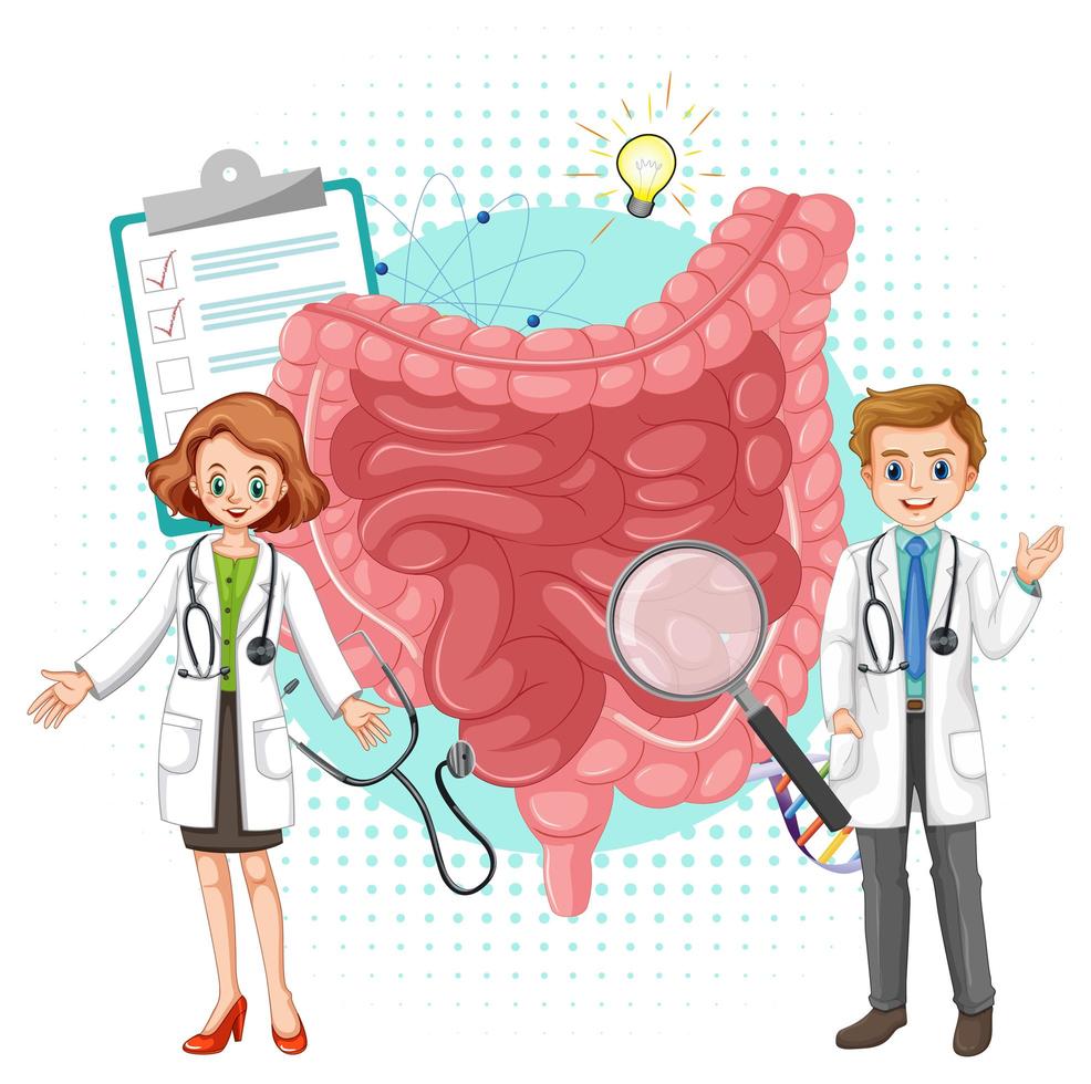 médico e intestino humano sobre fondo blanco vector