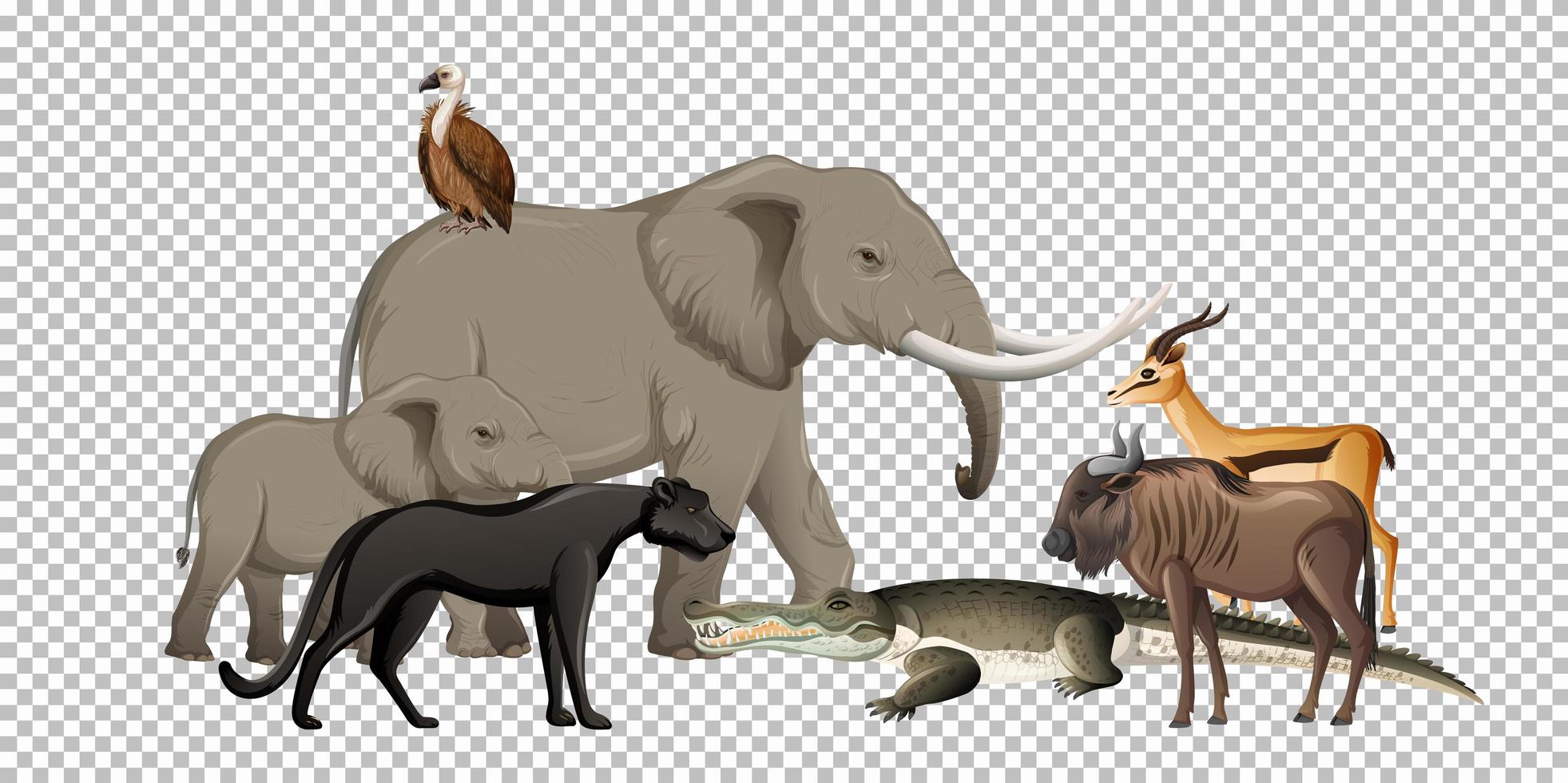 Group of wild african animals vector