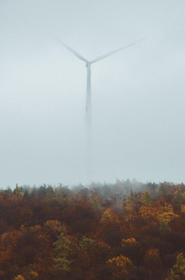 aerogenerador cubierto de niebla foto