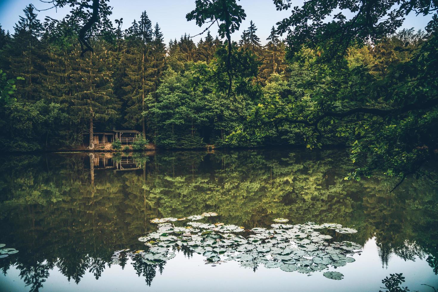 Reflection of trees in water photo