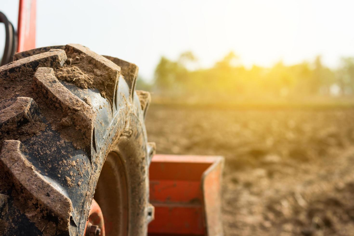 Sunlight on a field with a tractor photo