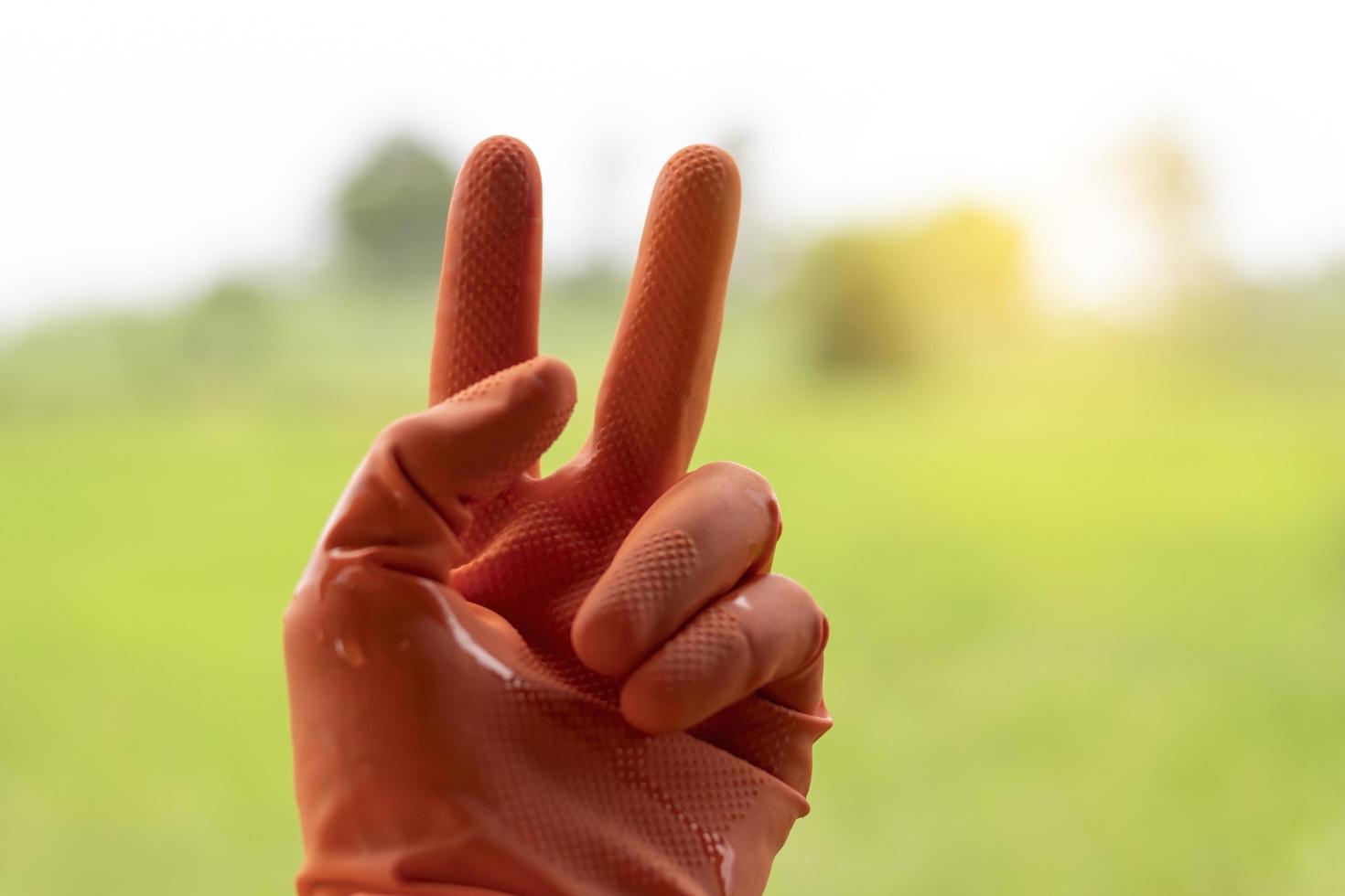 Hand gesturing a peace sign photo