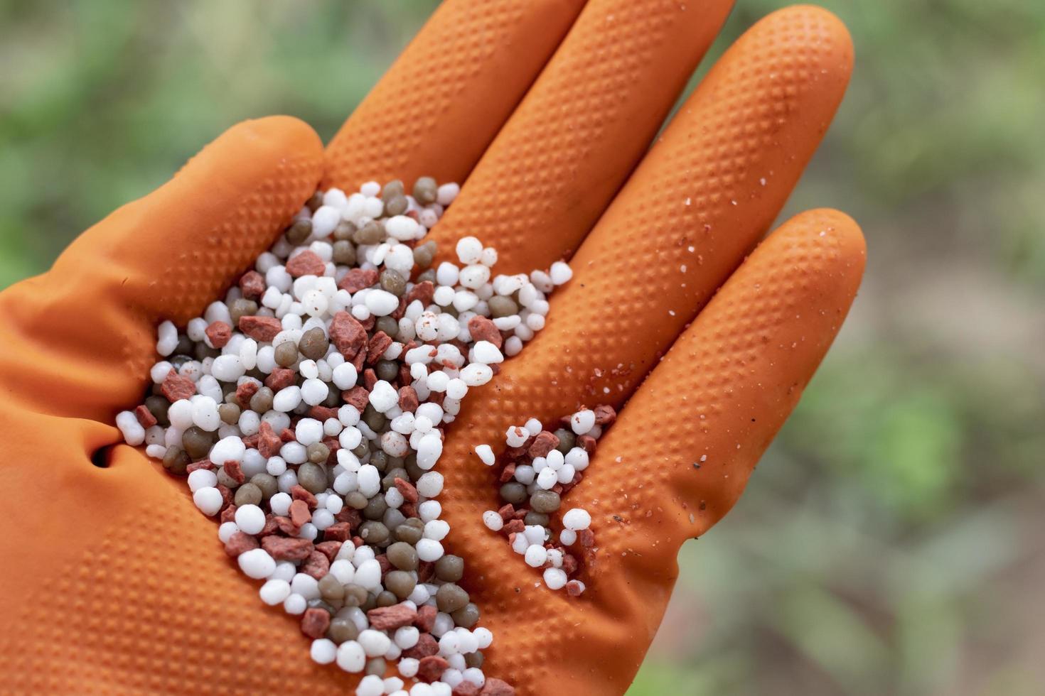 Hand holding fertilizer photo