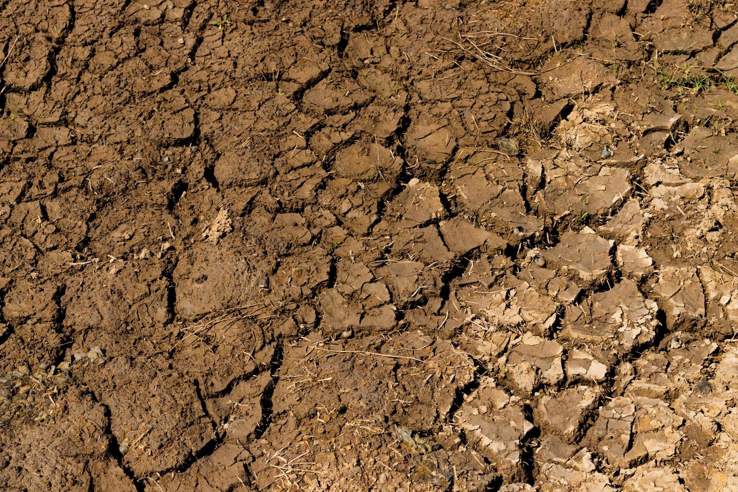 Dry cracked ground photo