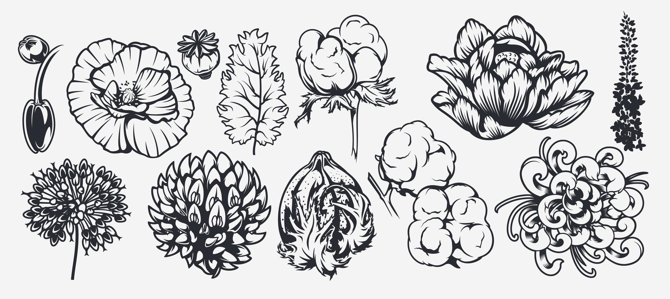 A set of illustrations on a floral theme. vector