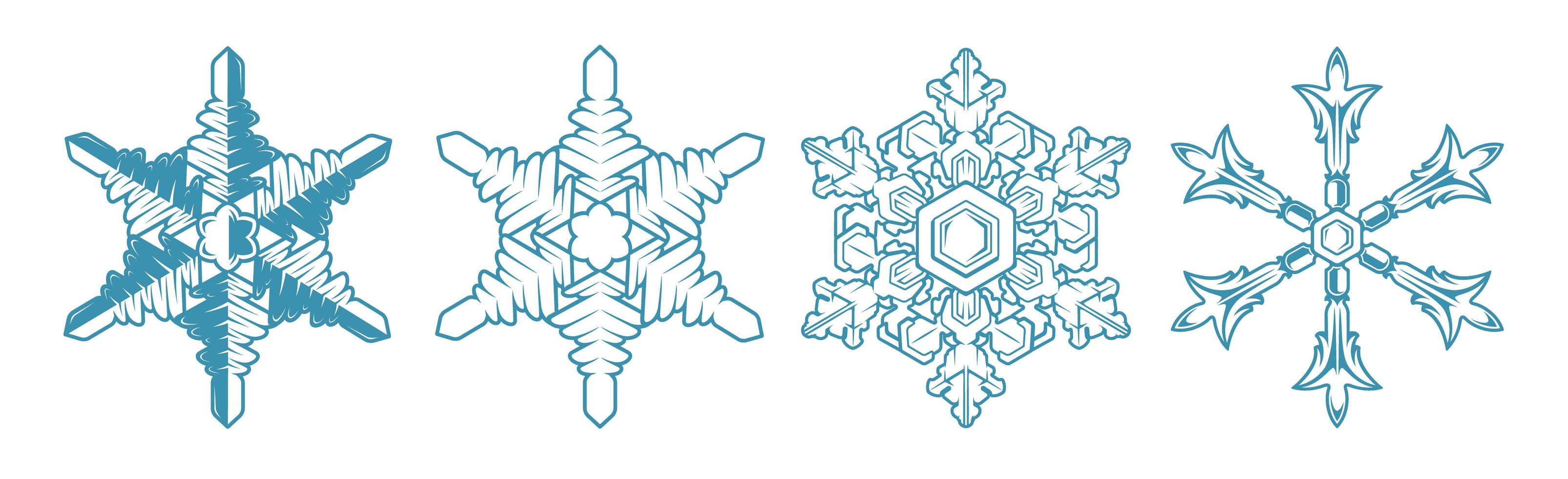 Set vector icon snowflake on white background