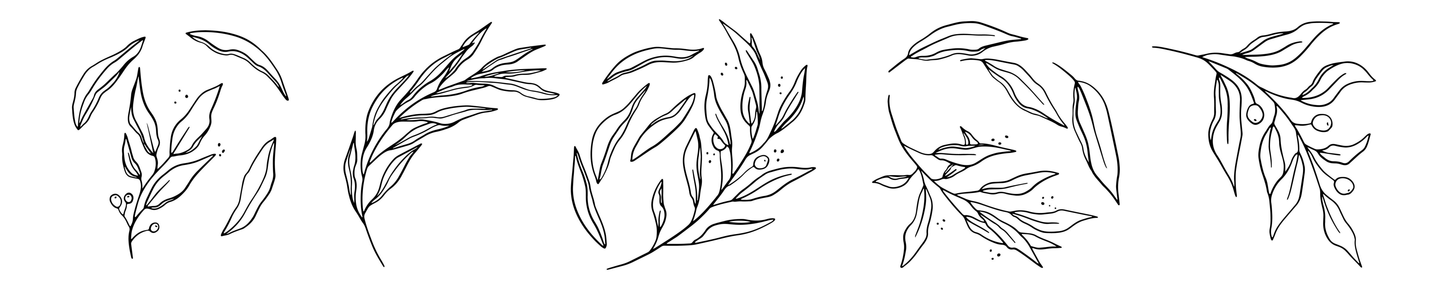 Set of hand drawn line-art leaves vector