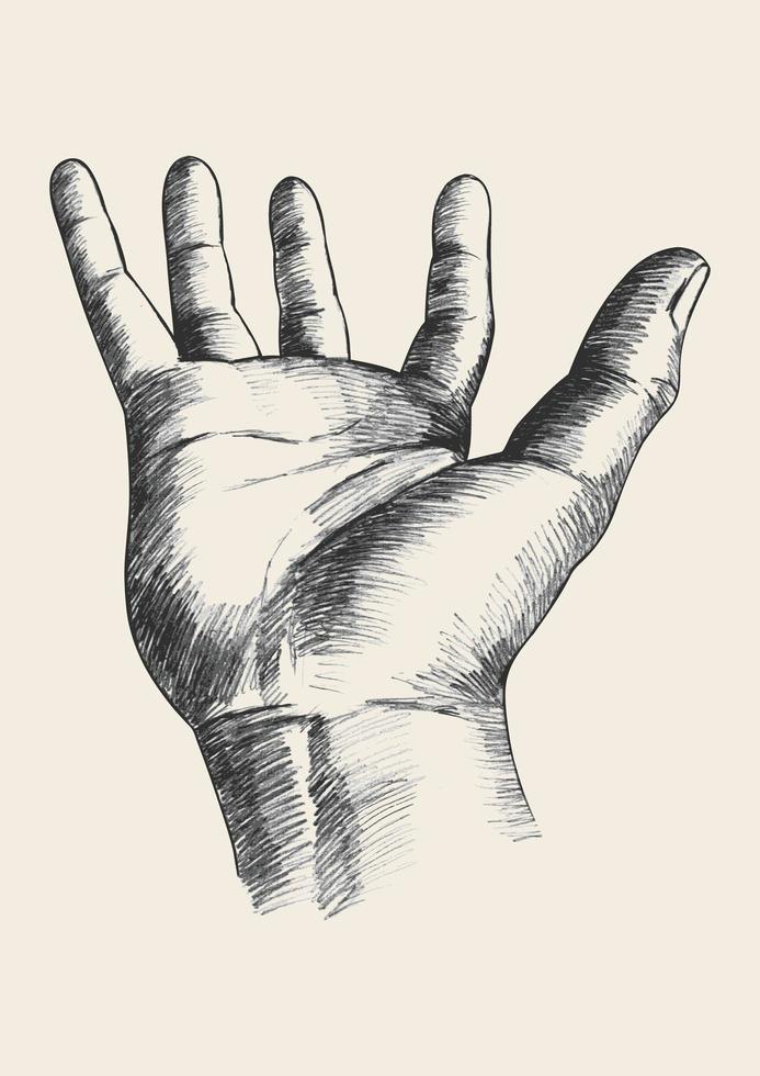 Hand Gesture Sketch Vector