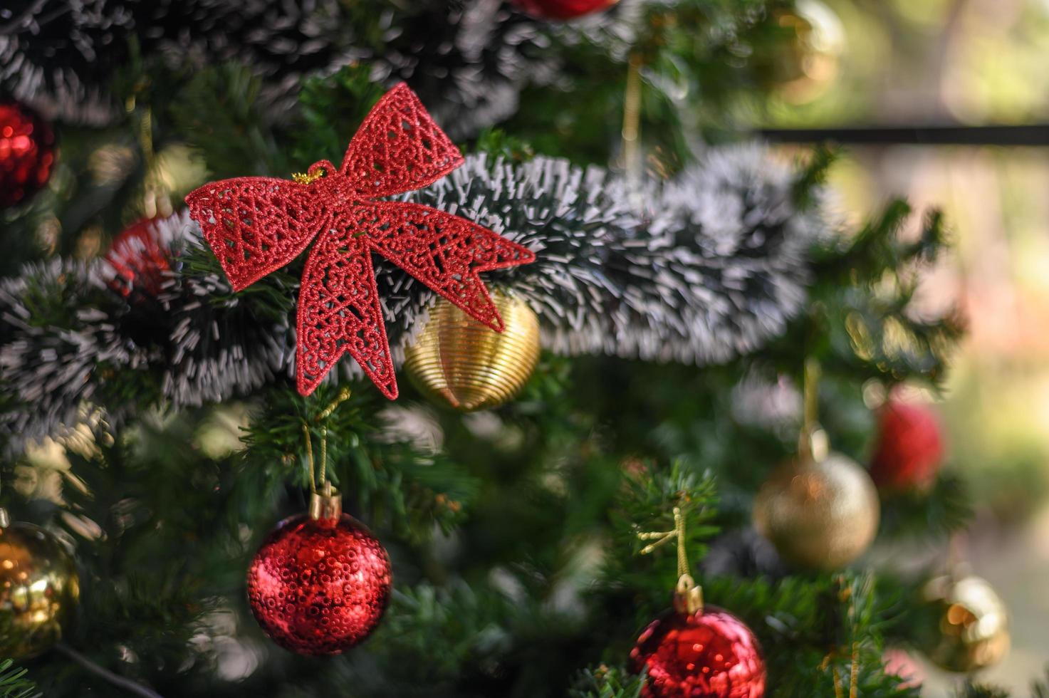 primer plano, de, un, lazo rojo, en, un, árbol de navidad foto