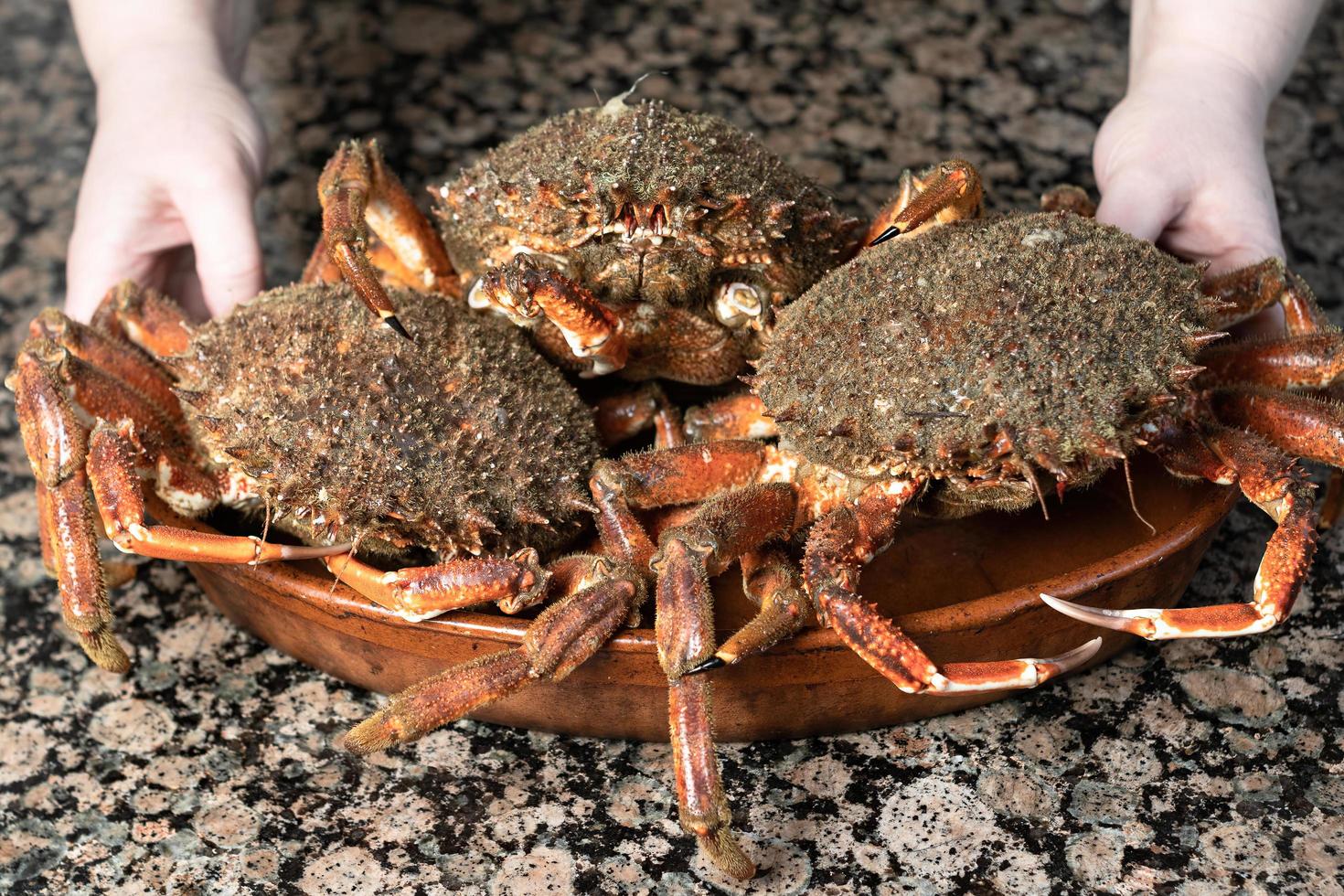 Crabs on a plate photo