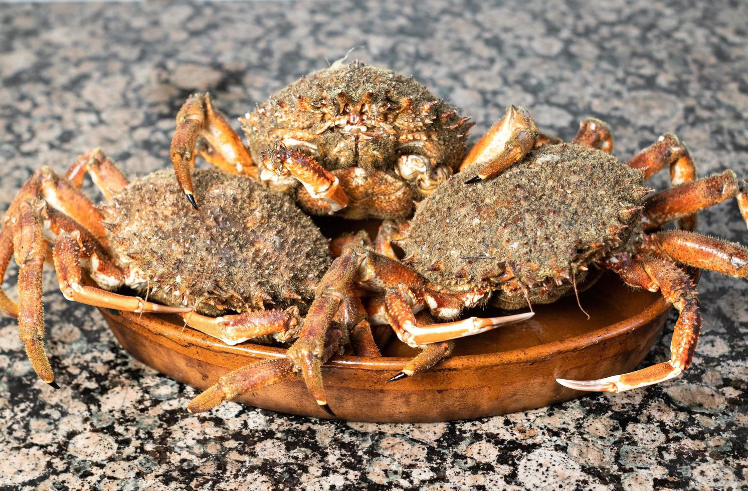 Crabs on a wooden plate photo