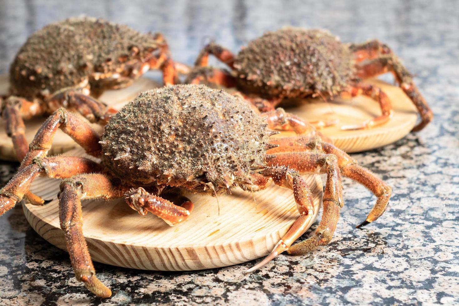 Three crabs on wooden slabs photo