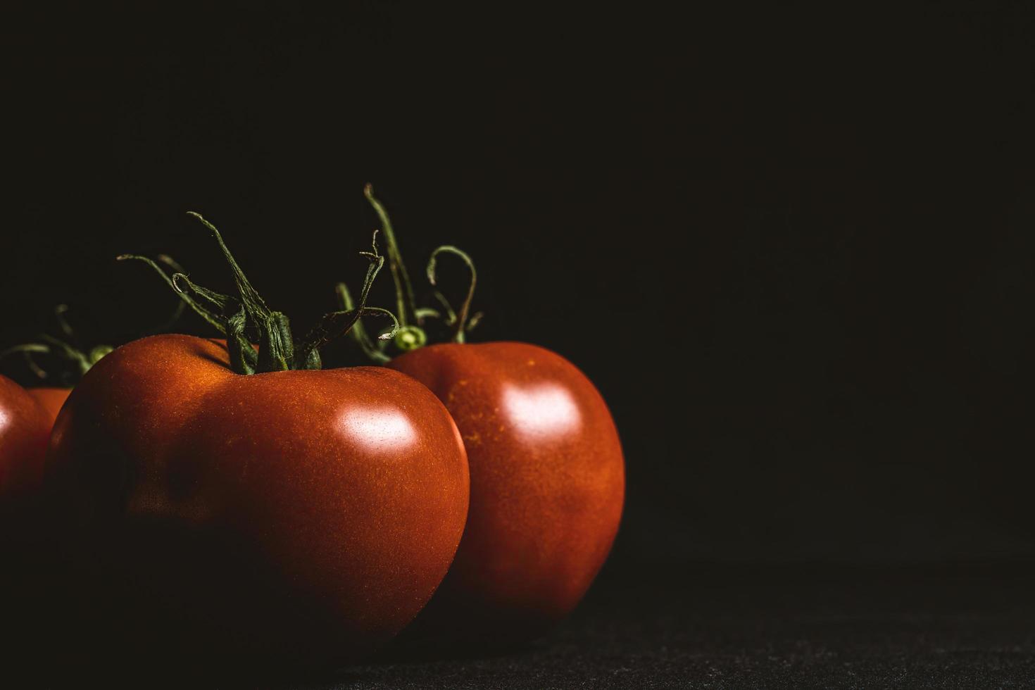 Tomatoes on a dark background photo