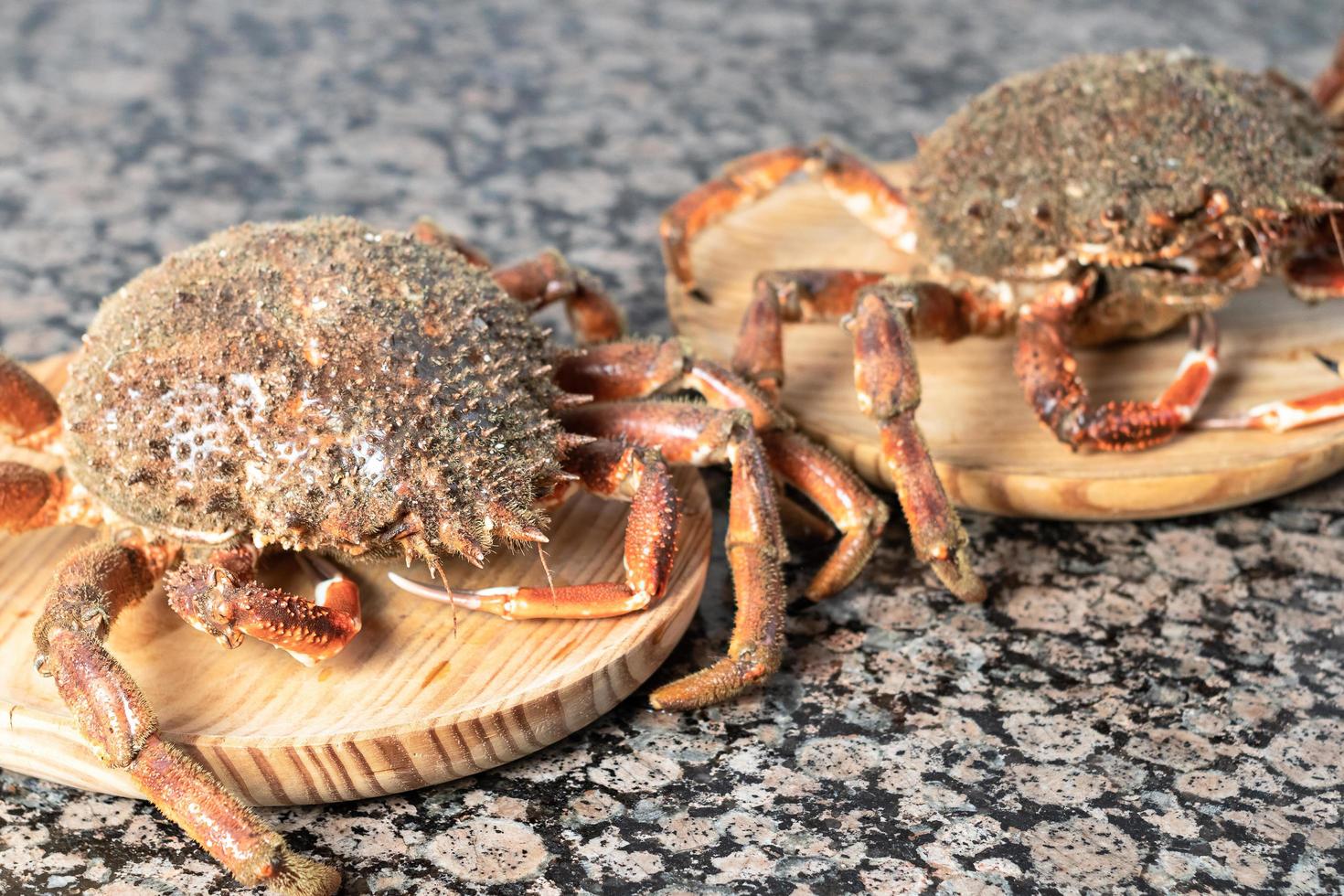 Crabs on wood slabs photo