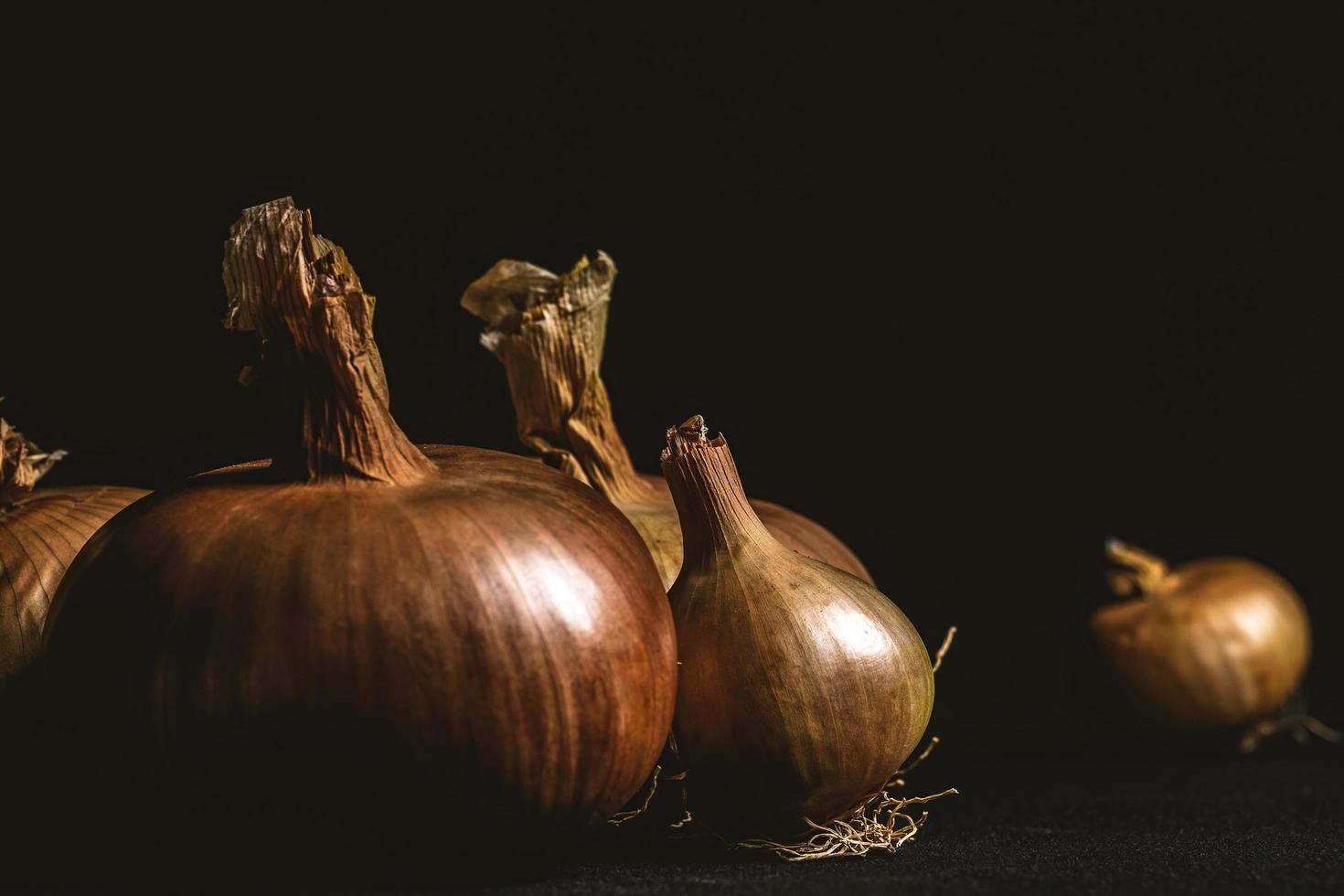 Onions on a dark background photo