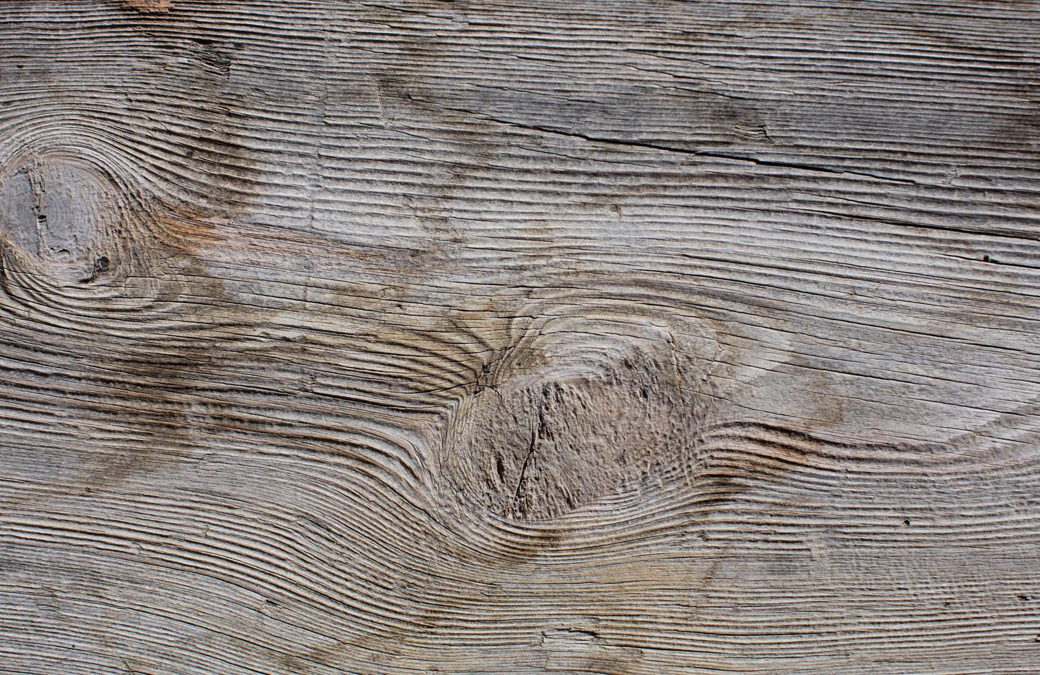 Wood grain texture photo