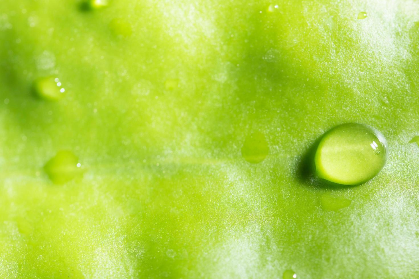 gotas de agua en una hoja foto