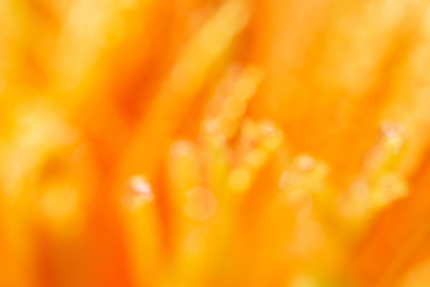 Gotas de agua sobre pétalos de flores de naranja, fondo borroso foto