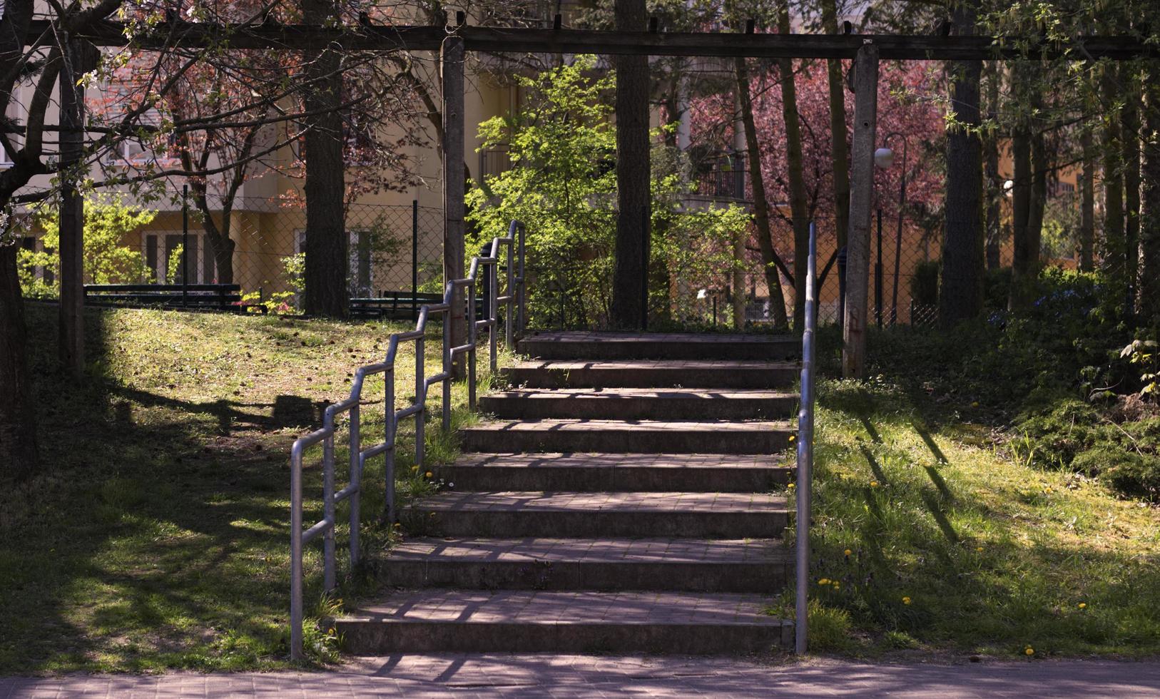 Stairs in a forest photo