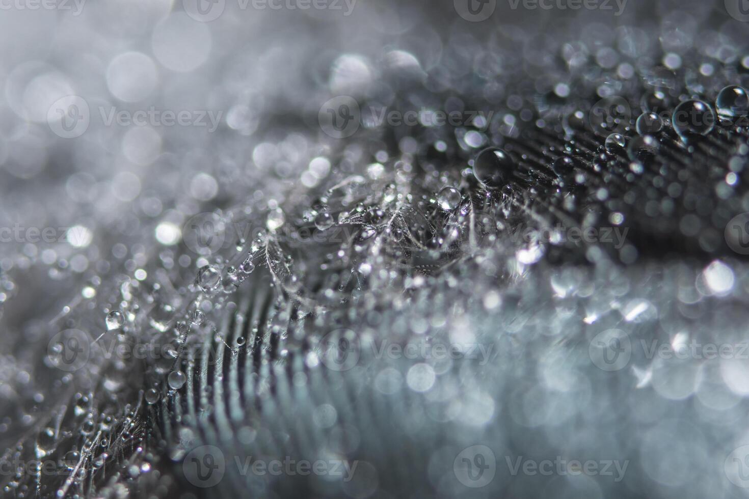 Water droplets on a black fabric photo