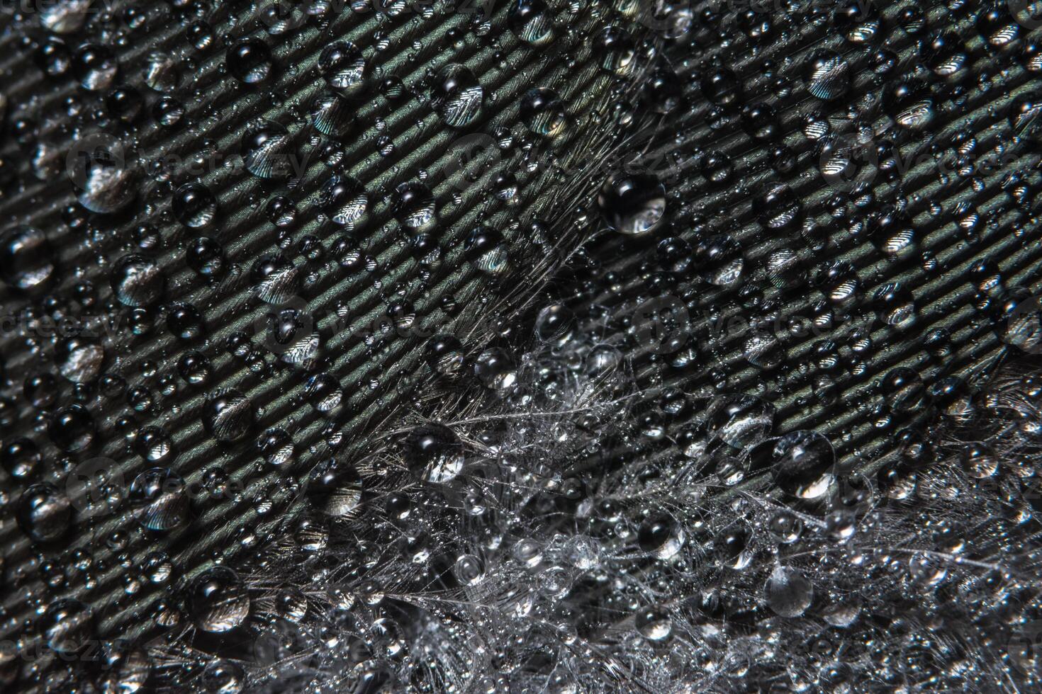 A close up of water droplets on a black surface photo