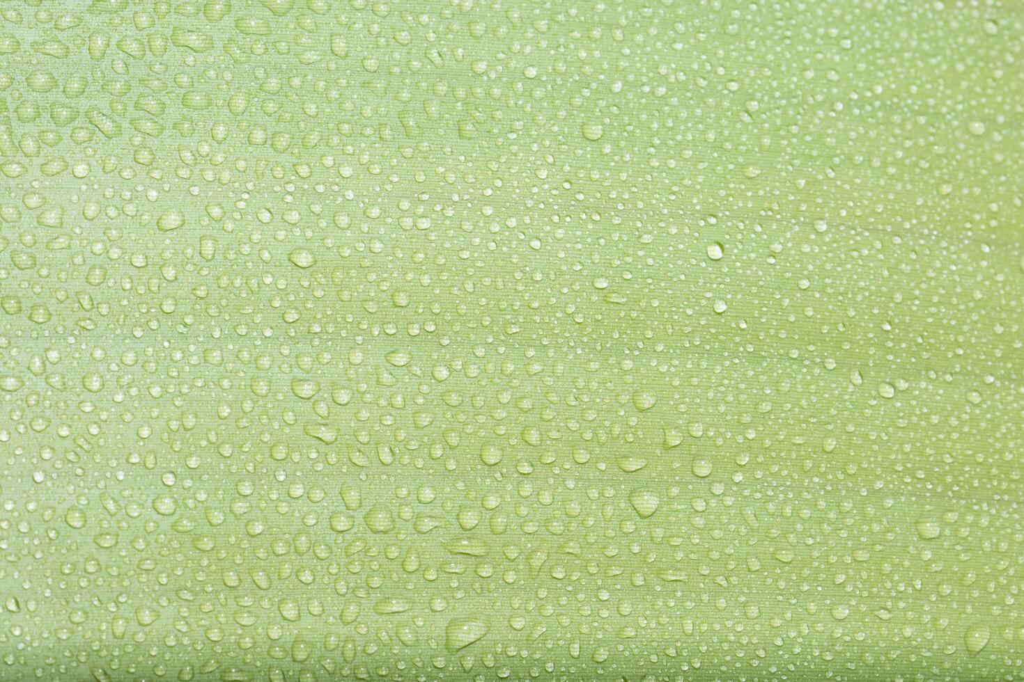 Water drops on a green leaf photo