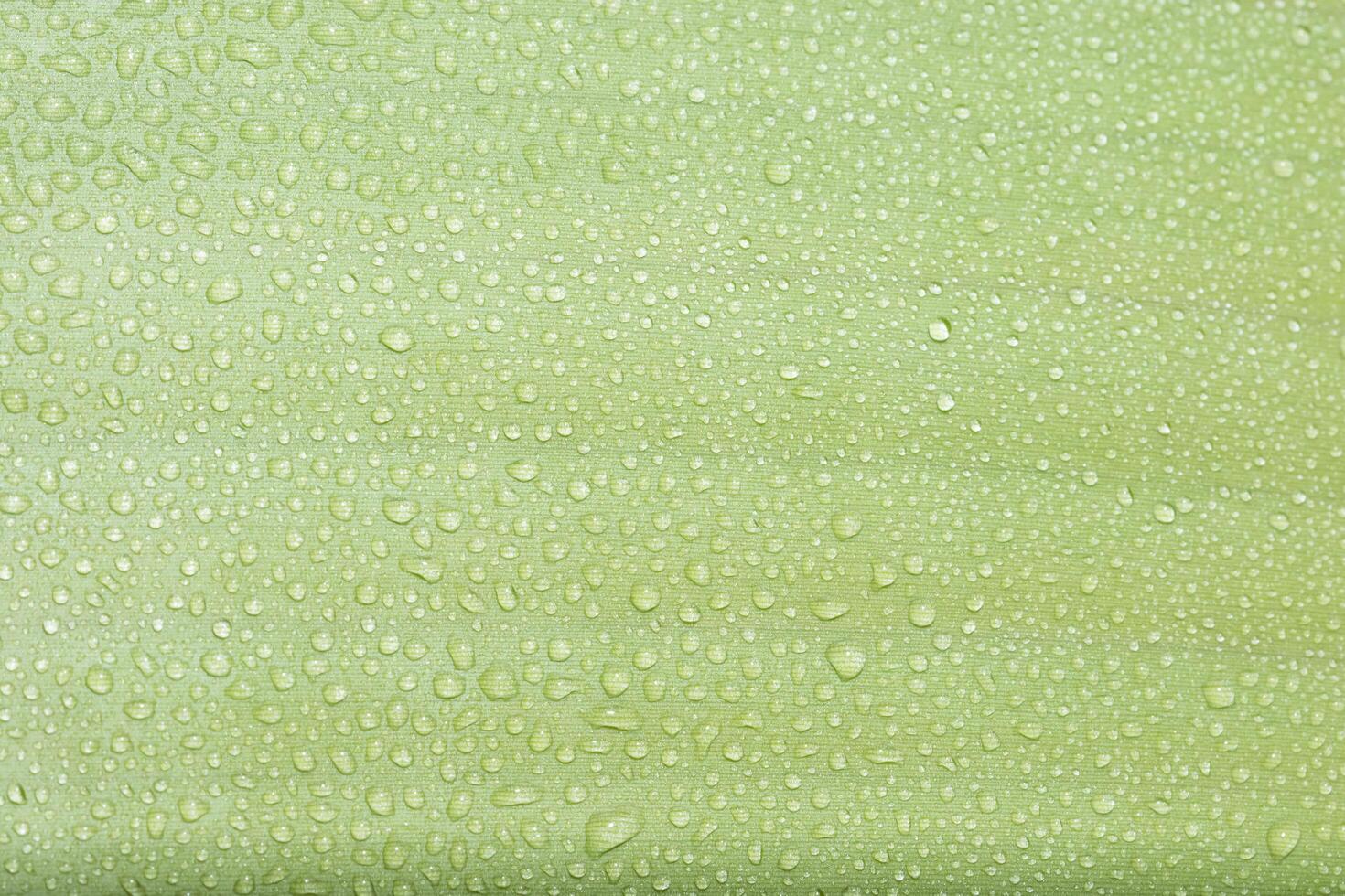 gotas de agua sobre una hoja verde foto