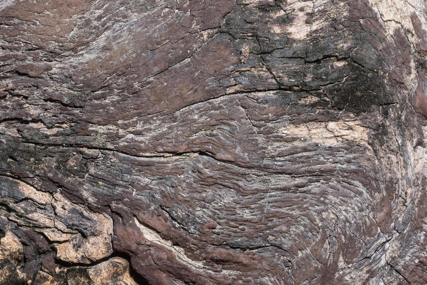 textura de madera de fondo foto