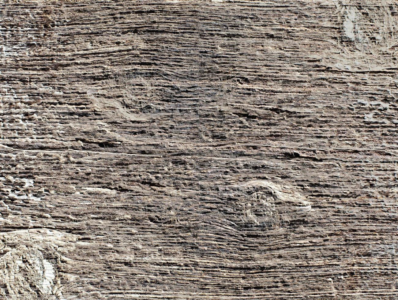Wood grain texture photo