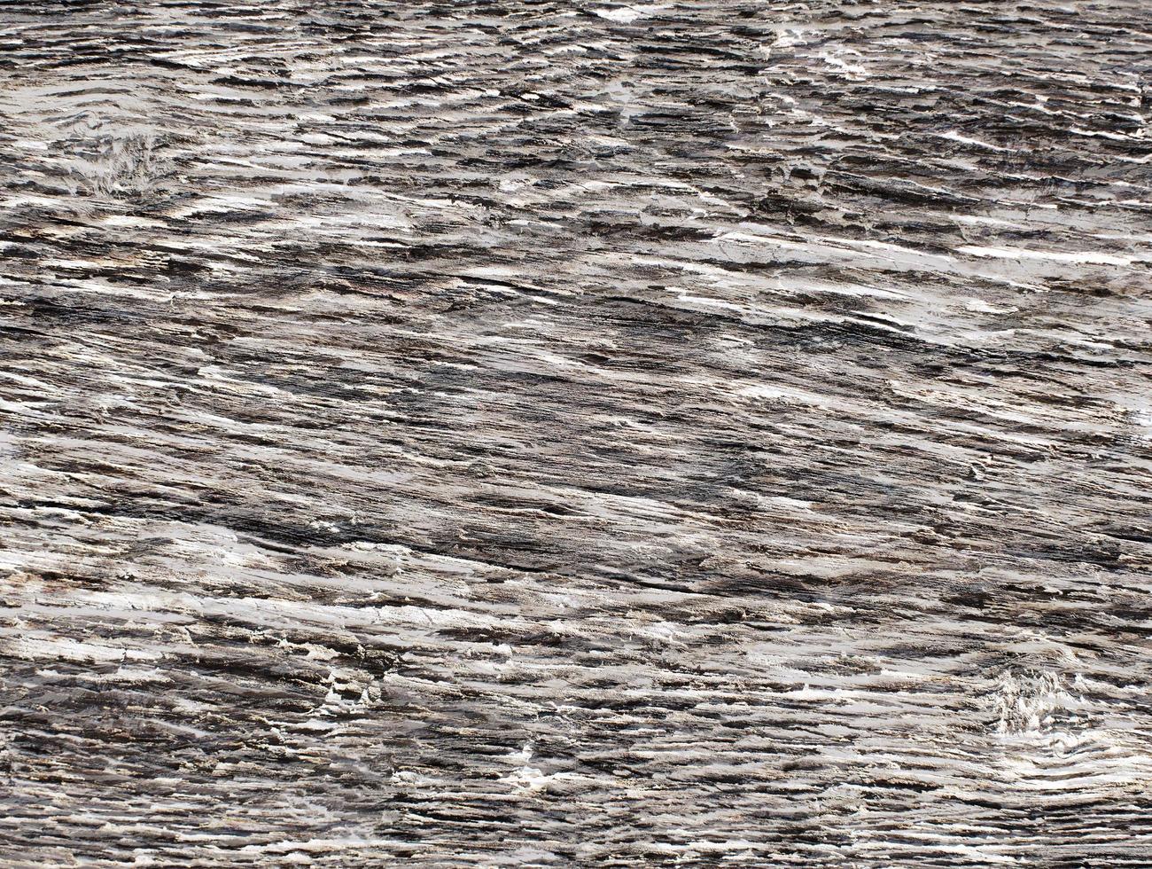 textura de grano de madera foto