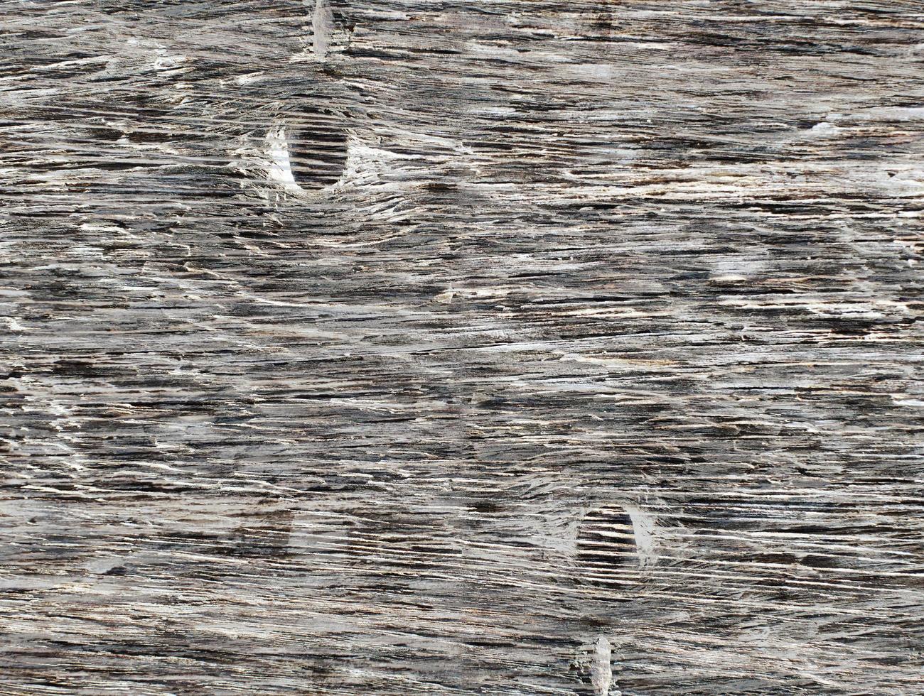 textura de grano de madera foto