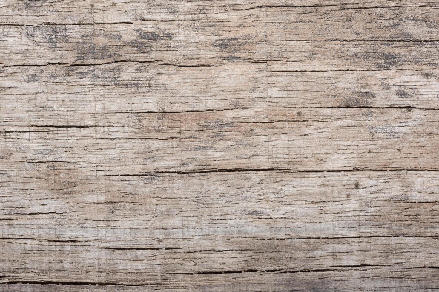 Wood pattern background photo