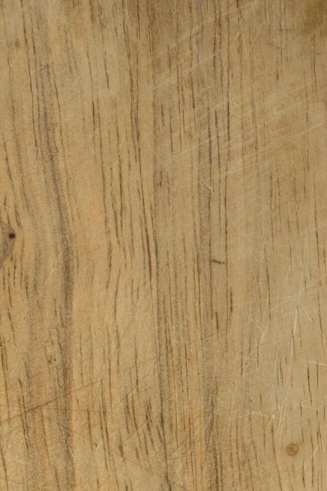 Wood texture background photo