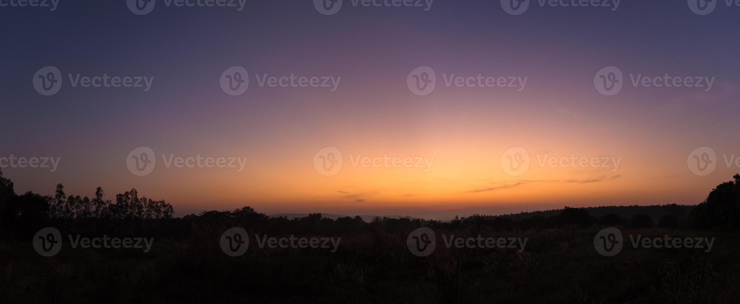 Sunset over the grassy field photo