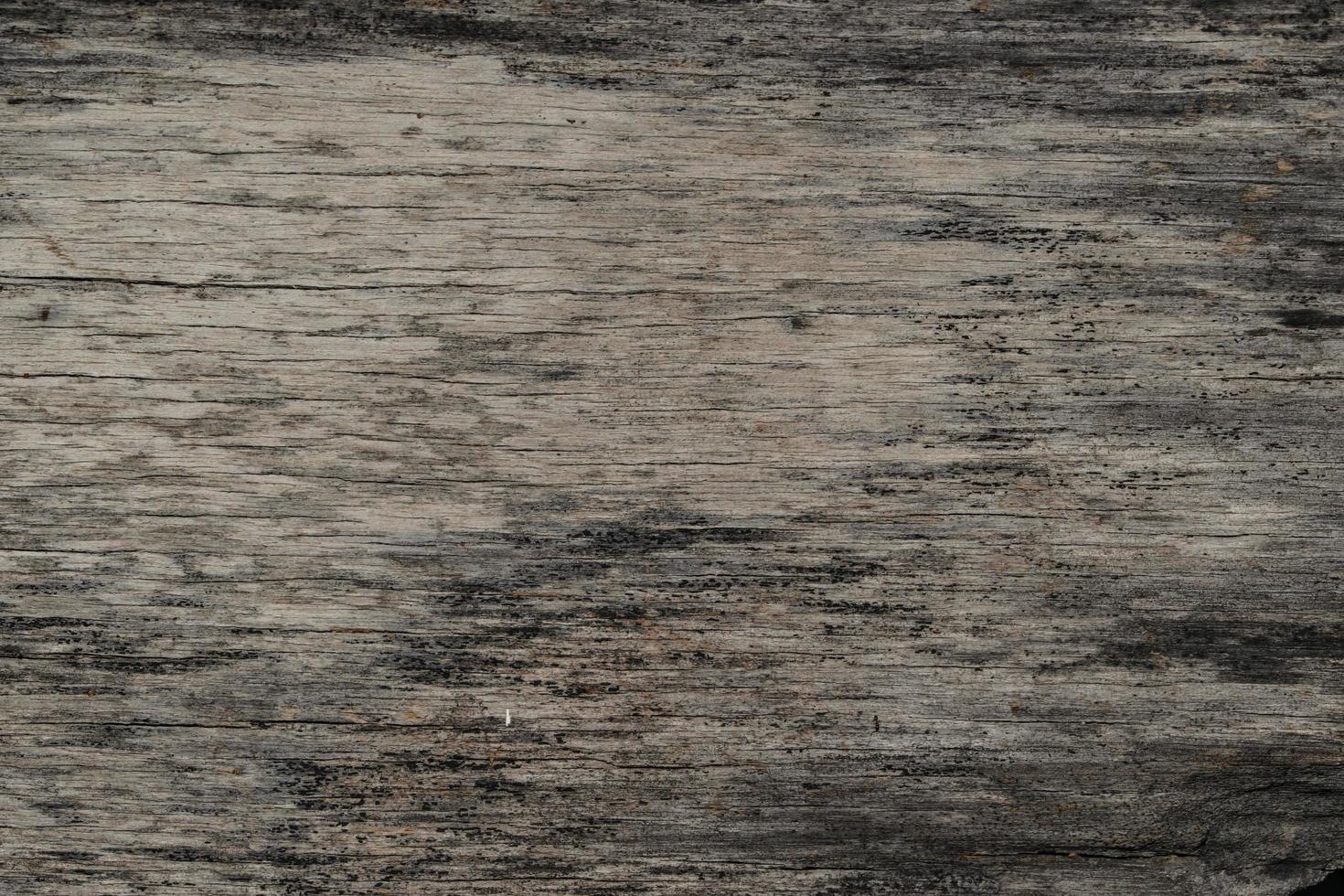 Wood texture background photo