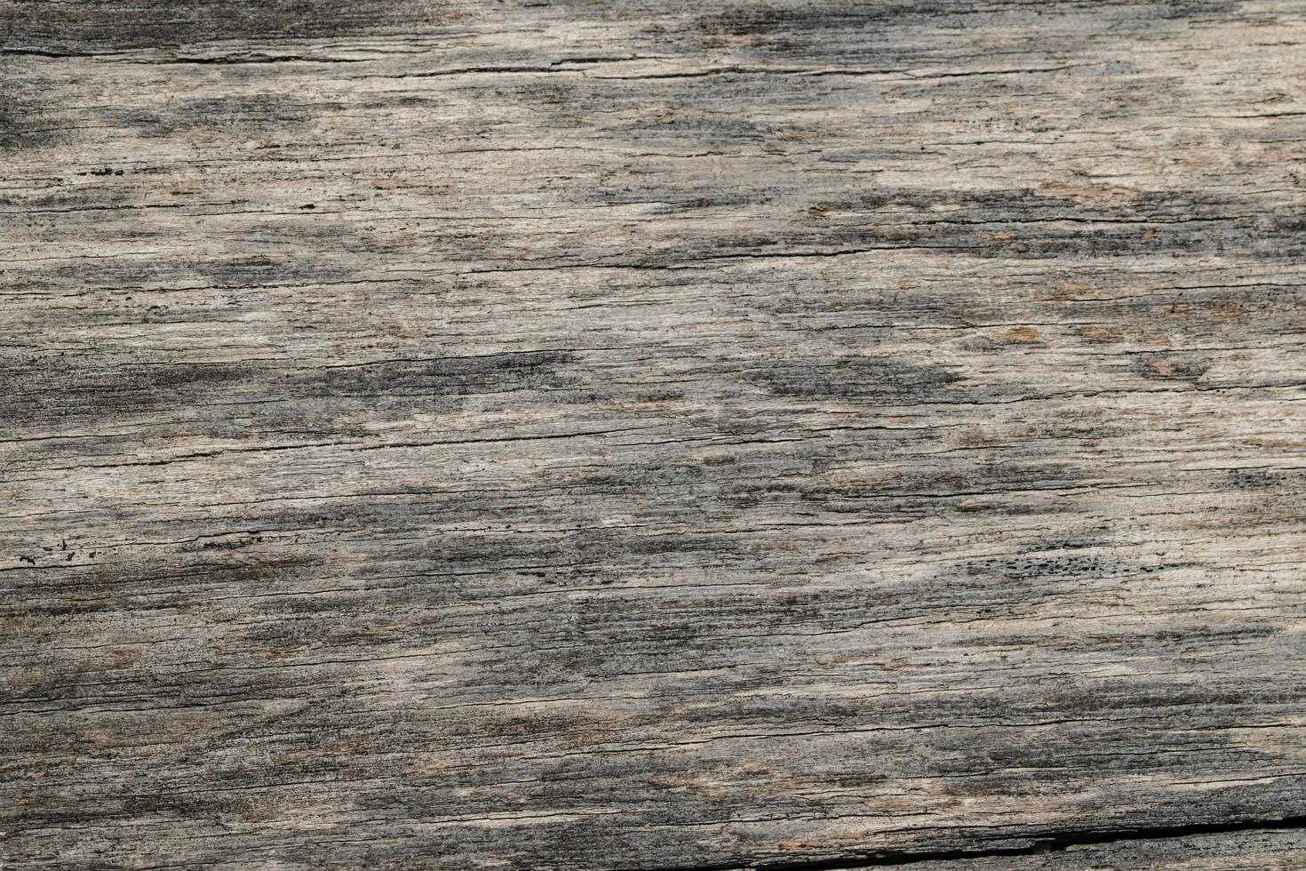 Wood texture background photo