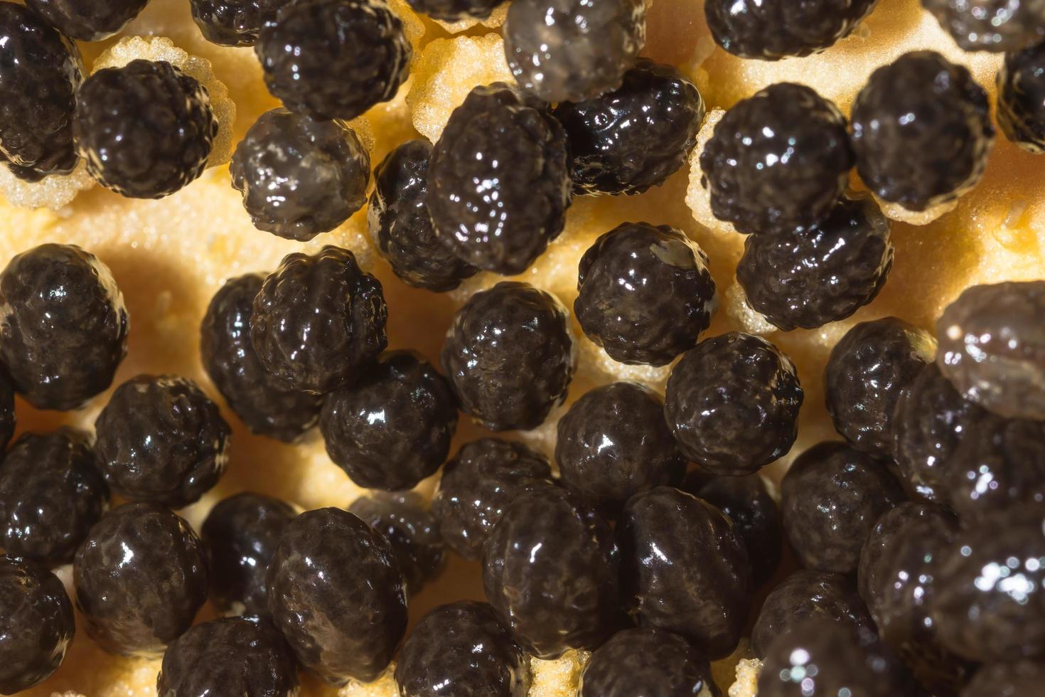 Papaya seeds close-up photo