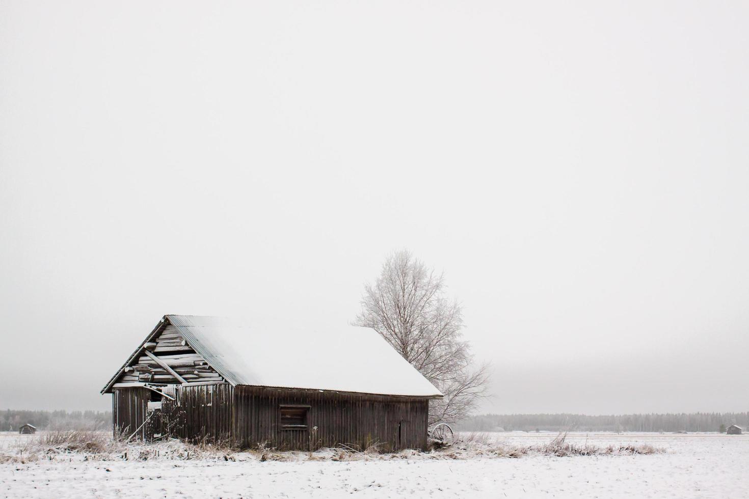 Granero de madera en campo cubierto de nieve foto