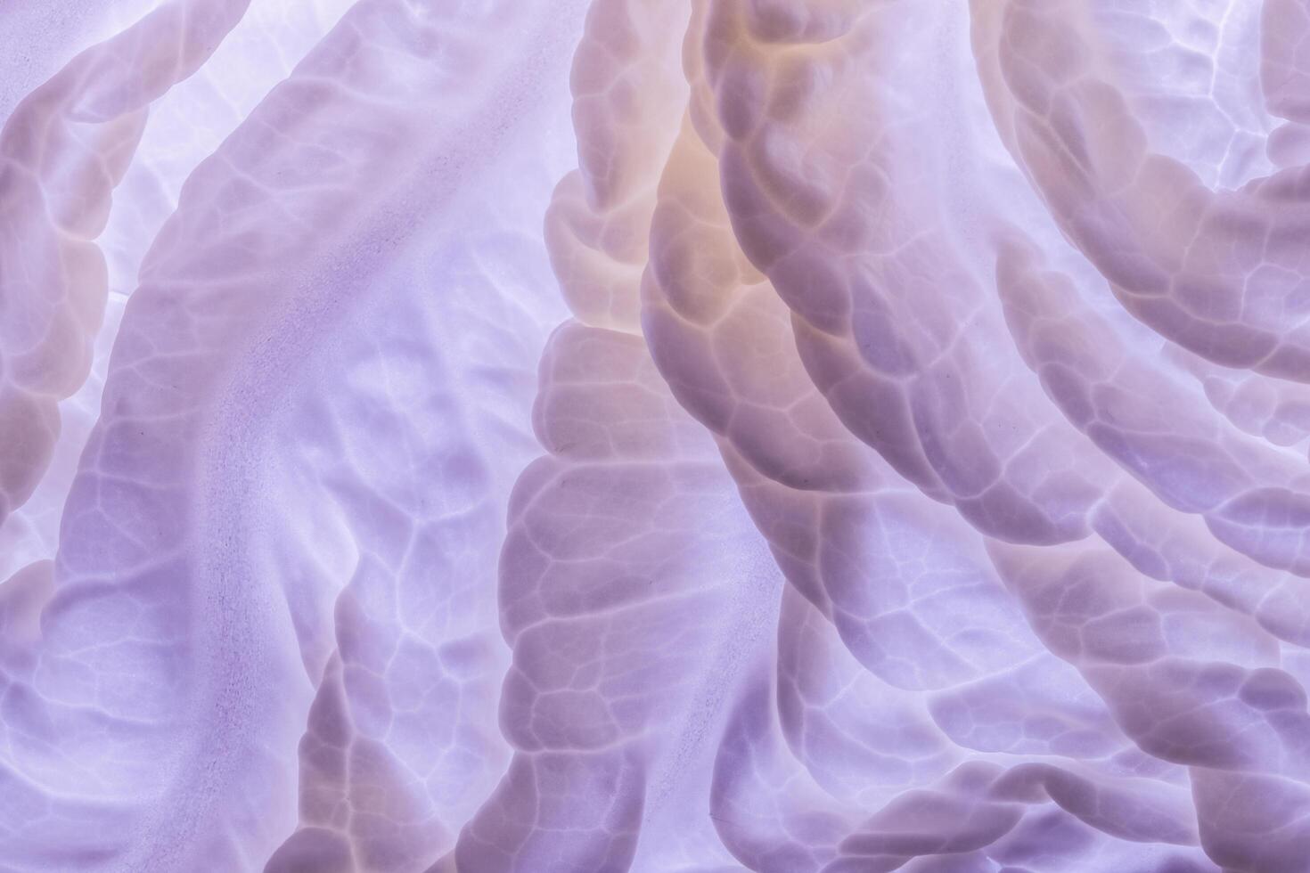 Purple pattern background photo