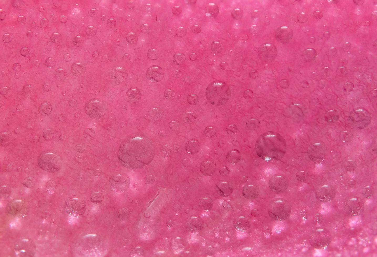 Water droplets on the petals of a pink rose photo