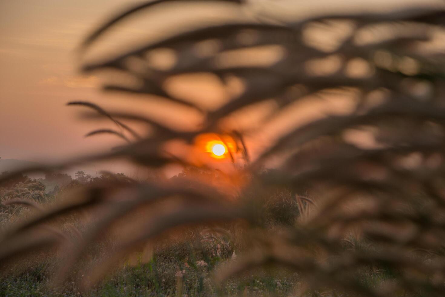 el cielo al amanecer foto