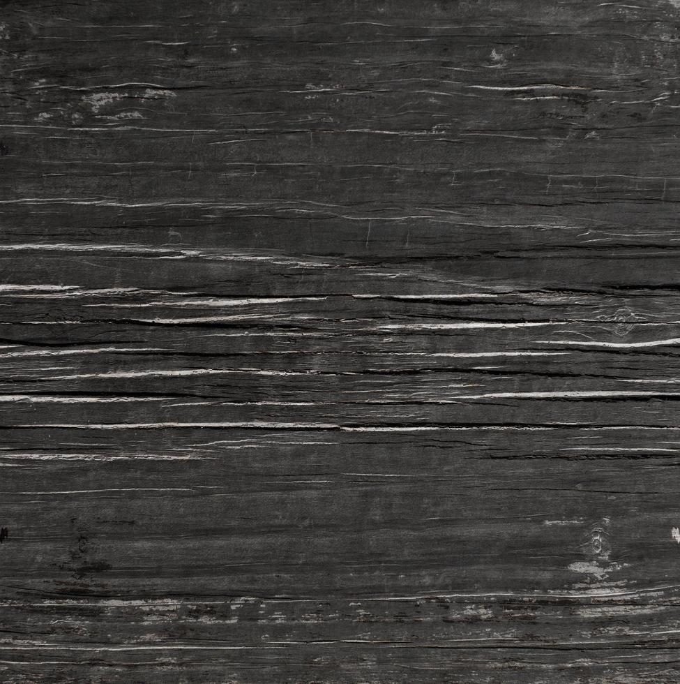 Wood grain texture photo