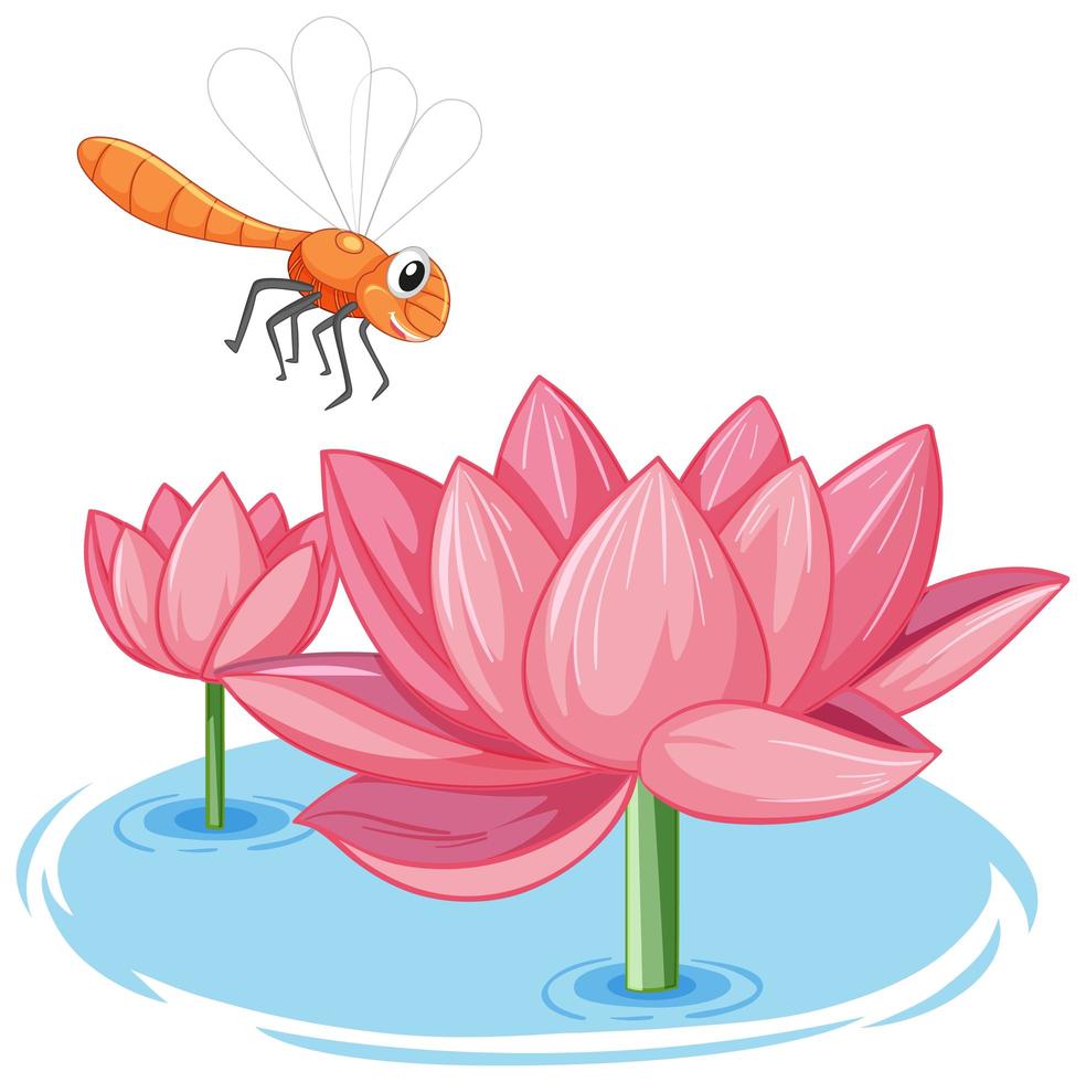 Dragonfly with pink lotus cartoon style on white background vector